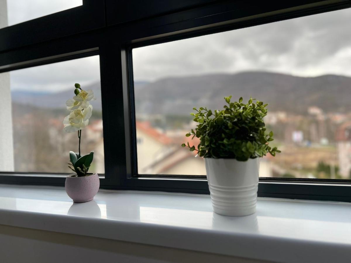 Aleksandar Apartman Sokobanja Exterior foto